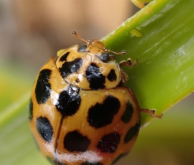 PC142554a.jpg